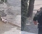 Vídeo: Bope é chamado para suspeita de bomba no bairro União, em BH