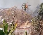 Vídeo: Incêndio de grandes proporções assusta moradores de BH
