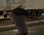 VÍDEO: População recolhe carga de atum de caminhão após acidente na Via Expressa em Contagem