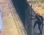VÍDEO: Suspeitos de roubo invadem condomínio durante fuga da polícia na Grande BH