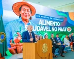 Governo estabelece parâmetros para Contrato de Opção de arroz