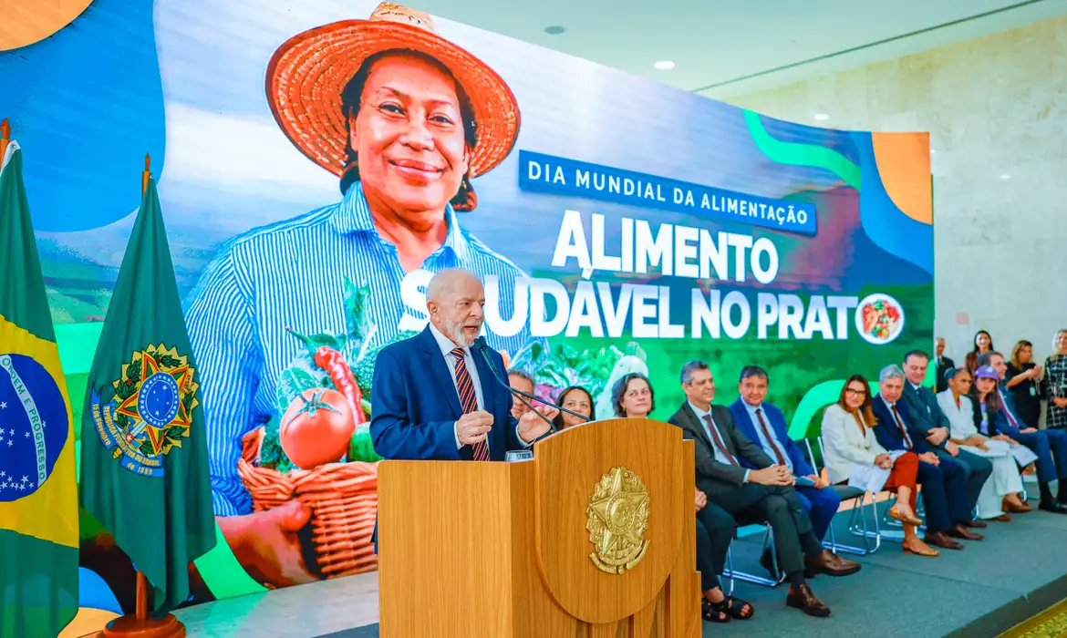 Governo estabelece parâmetros para Contrato de Opção de arroz
