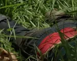 Divinópolis: Acusado de matar o cunhado vai a júri popular