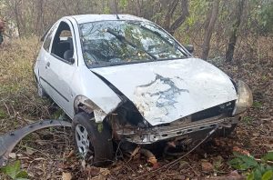 Acidente deixa carro em meio a &aacute;rvores na MG-431 em Ita&uacute;na