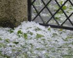 Nesta sexta-feira (18), o Inmet emitiu alerta para temporal em 406 municípios mineiros. As chuvas podem atingir até 100 mm
