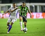 Coelho precisa da vitória para colar no G4. Avaí x América.