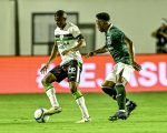 Coelho precisa da vitória para poder tentar entrar no G4. América x Goiás.
