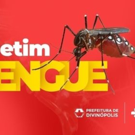 Divinópolis registra leve aumento de casos de Dengue e Chikungunya em uma semana
