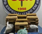 Dupla é presa com 69 barras de maconha escondidas em canil de BH