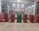Perseguição termina em traficante preso com 235 barras de maconha em BH