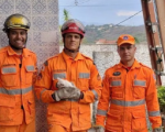 VÍDEO: Bombeiros resgatam gatinho preso em cano dentro de parede na Grande BH