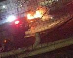 Vídeo: carro pega fogo após bater em poste e ocupantes fogem na Grande BH