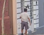 Vídeo: pedestres são atacados por sabiás em BH