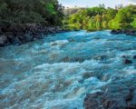 Divinópolis terá a 1ª Conferência Municipal do Meio Ambiente