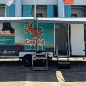 Castração de cães e gatos será feita em Divinópolis; saiba como cadastrar