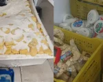 Divinópolis: PM encontra depósito com queijos vencidos e contaminados