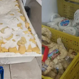 Divinópolis: PM encontra depósito com queijos vencidos e contaminados