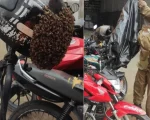 Enxame de abelhas em capacete mobiliza Bombeiros