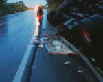 Formiga: Caminhão com carga de frango tomba na BR-354