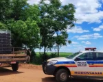 Homem é preso acusado de adulterar chassi de veículo em Lagoa da Prata