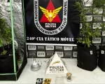 Síndico fecha área comum de prédio para plantar maconha no Centro de Divinópolis