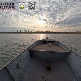 Piracema: período de reprodução dos peixes tem início; veja restrições
