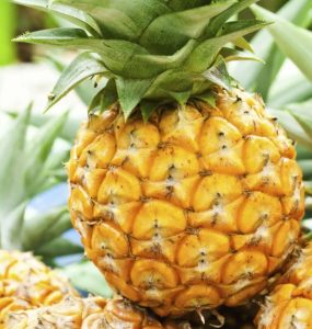 Naturopata explica os benef&iacute;cios do consumo do abacaxi para sa&uacute;de e preven&ccedil;&atilde;o
