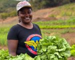 Com apoio do Governo de Minas, renda da agricultura familiar cresce nas vendas para a merenda escolar