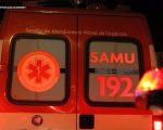 Homem morre após moto colidir contra árvore em BH