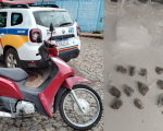 Dois menores são apreendidos com moto furtada e drogas em Divinópolis