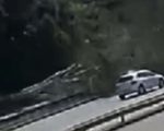 Vídeo: Árvore de grande porte cai e atinge carros na Via Expressa de BH