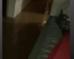 VÍDEO: Moradores do Serra Verde enfrentam novamente prejuízos causados pelas chuvas