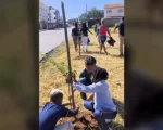 Entrevista: Estudantes da Escola Municipal Maria Peçanha reúnem para plantio de árvores