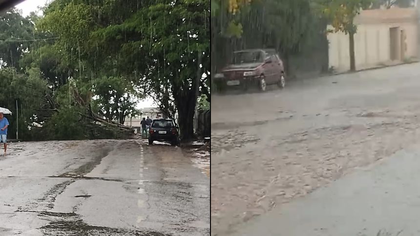 V&iacute;deos Chuva causa alagamentos e queda de &aacute;rvore em Divin&oacute;polis