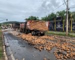 Acidente com três caminhões e cinco carros interdita Via Expressa nesta sexta (27)