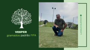 Vesper: Viva Uma Experi&ecirc;ncia Jogando Futebol Em Um Gramados Padr&atilde;o FIFA