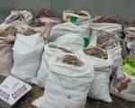 Homem é preso com uma tonelada de fios de cobre roubados em BH
