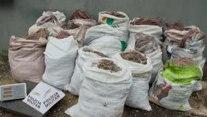 Homem &eacute; preso com uma tonelada de fios de cobre roubados em BH