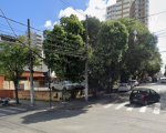 Divinópolis: Settrans faz poda de árvores na Av Getúlio Vargas e informa sobre mudanças no local