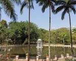 Parque Municipal de BH será palco de Festival de Música em dezembro