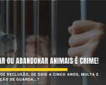 Penalidades Severas para Crimes de Abandono e Maus-Tratos contra Animais em Divinópolis