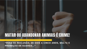 Penalidades Severas para Crimes de Abandono e Maus-Tratos contra Animais…