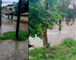 Chuva forte causa alagamentos e queda de árvores em Divinópolis