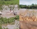 50 cidades mineiras estão em estado de emergência por conta das chuvas