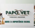 Não deixe a raiva roubar sua alegria!