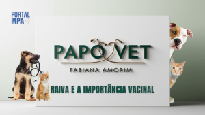 Não deixe a raiva roubar sua alegria!