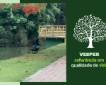 Vesper Eco Resort desponta como referência de qualidade de vida e investimento em Divinópolis