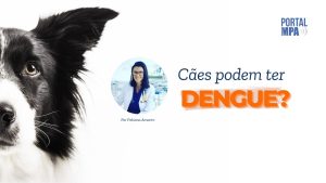 Cães podem ter dengue?