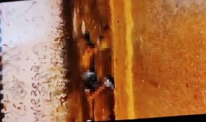 Homem &eacute; morto a tiros no Centro de Concei&ccedil;&atilde;o do Par&aacute;