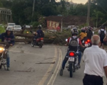 Árvore cai e bloqueia rodovia entre Divinópolis e Carmo do Cajuru